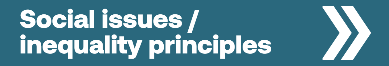 Social and inequality principles